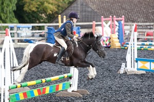 Class 3 -  Fences not above 2'3